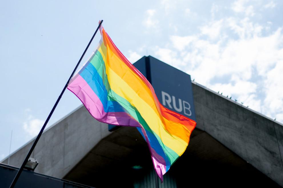 Diversity Day Flagge